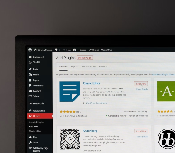 Why Businesses Across the USA Trust Velan for WordPress Development