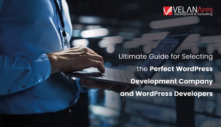 How to Choose a WordPress Development Company in the USA (Guide to Hiring)