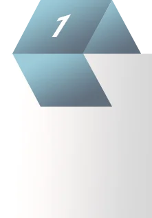 Enterprise Solution
