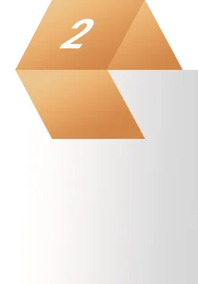 Enterprise Solution