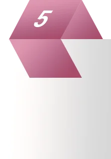 Enterprise Solution