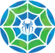 spider-web